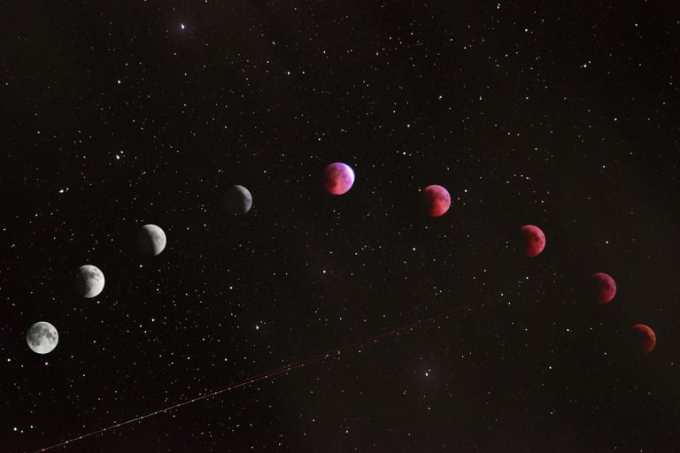 Venus retrograde astrology night sky